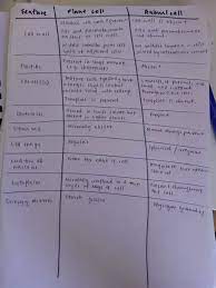Animal cell differ from plant cell in possessing. What Are The Main Differences Between Plant And Animal Cells Quora