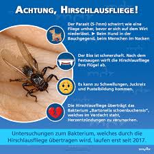 Pin Auf Gesundheit