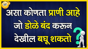 We did not find results for: Kodi Marathi Puzzle In Marathi With Answer Marathi Riddles With Answer Youtube