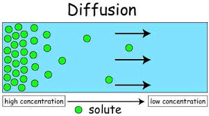 The net movement of solvent molecules, usually water, from a region of lower solute concentration to a region of higher solute concentration through a partially permeable membrane. Definition Osmosis Diffusion Active Transport