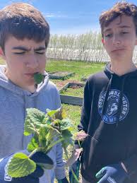 Dennis Akey (@gingerfever3000)