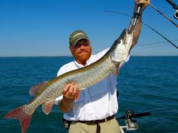 lake st clair charter fishing index by professional charter