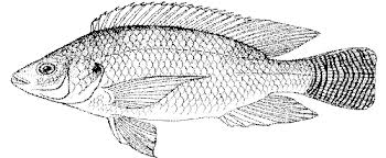 This tutorial is very easy. Edepot Wur Nl