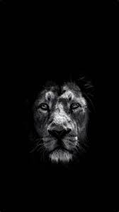 Free Lion Hd Wallpapers For Laptop Background Lions Beast Lion
