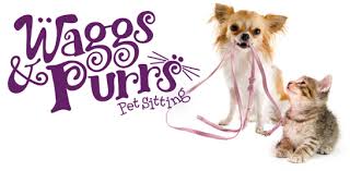 Our pet sitting services are provided in the comfort of your own home for all types of animals. Waggs Purrs Pet Sitting Bio