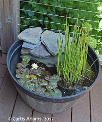 Check spelling or type a new query. Native Plants With Adams Garden Building A Container Water Garden
