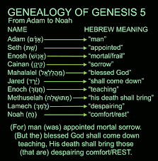What is against the law. Genesis Archives Mini Manna Moments