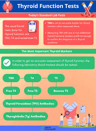 Image result for Thyroid Function Test