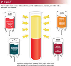Learn about plasma donation rewards from csl plasma. Plasma Stanford Blood Center