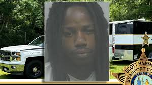 Traffic stop in Beaufort County leads to arrest of felon with drugs and gun