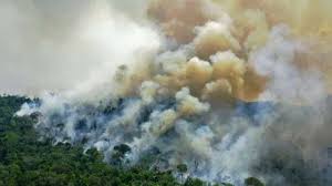 Orman yangını i̇hbar 177 su arıza 185. Amazon Sees Highest Number Of Forest Fires For June Since 2007 Meantime Post Online Media