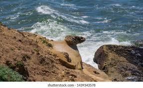 47 Gualala Images, Stock Photos & Vectors | Shutterstock