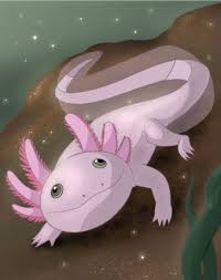 Maybe you would like to learn more about one of these? How To Draw An Axolotl Draw Central