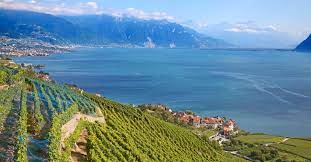 So sad this gorgeous hotel is evian is abandoned. Das Genferseegebiet Eine Der Schonsten Ecken Der Schweiz