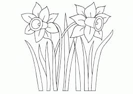 Kinder Malvorlagen Narzisse Http Kinder Ausmalbilder Co Kinder Malvorlagen Narzisse Malvorlagen Malvorlagen Blumen Narzissen