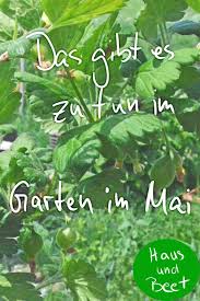 Was Gibt Es Im Garten Im Mai Zu Tun Haus Und Beet Garten Bepflanzung Gemusegarten Anlegen