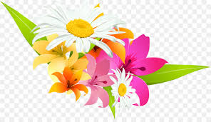 Pikbest telah menemukan 396340 vektor bunga melati templat gambar desain untuk penggunaan komersial pribadi. Flowers Clipart Background Png Download 3466 1964 Free Transparent Vector Png Download Cleanpng Kisspng