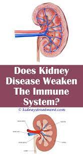 Renal Failure Food Kidney Disease Diet Polycystic Kidney Disease Kidney Disease Recipes