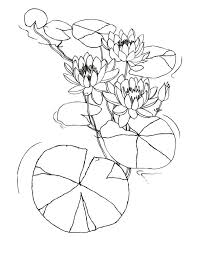 We did not find results for: Water Lily Flowers Among Lily Pad Coloring Page Color Luna