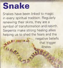 Snake True Spiritual Calling In 2020 Snake Spirit Animal Spirit Animal Spirit Animal Meaning
