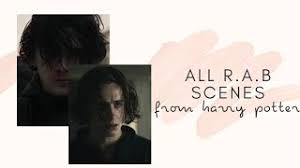 The test scores from the w.o.m.b.a.t.s, like the o.w.l.s and n.e.w.t.s. All R A B Scenes Dh 1 Youtube