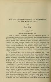 Image result for Synandrodaphne paradoxa