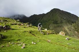 This is the traditional insurance coverage that most people are familiar a general liability policy is purchased from an insurance company. Recommended Travel Insurance For Peru How To Peru