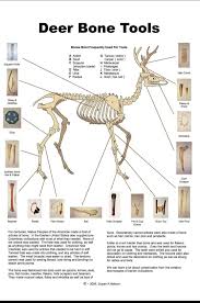 Deer Bone Tools Survival Skills Survival Tips Survival Techniques