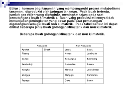 Pengaruh mana tidak terjadi terhadap buah pisang (will et al., 1982). Contoh Buah Klimaterik Dan Non Klimaterik Barisan Contoh