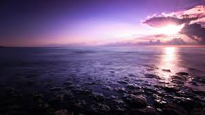 We've gathered more than 5 million images uploaded by our users and sorted them by the most popular ones. 22 Purple Sunset Wallpapers Wallpaperboat