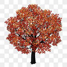 Maple Tree Tree Clipart Maple Tree Png Transparent Clipart Image And Psd File For Free Download Red Maple Tree Tree Clipart Trees To Plant
