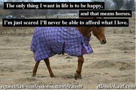 Maybe you would like to learn more about one of these? 900 Horse Quotes Ideas Horse Quotes Horses Equestrian Quotes