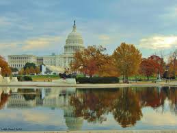 I Took This Photo Of The Us Capitol On Thanksgiving Day 2016 The Fall Foliage In The Reflecting Pool Was So P Washington Dc Photos Capitol Building Us Capitol