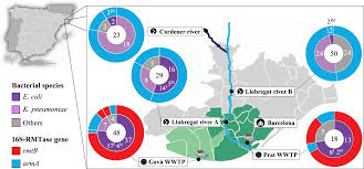 Course de la resistance 2019. 1syzcek53xf5ym