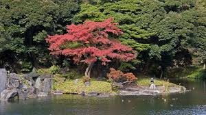 See more ideas about garden design, japanese garden design and garden inspiration. Japanese Landscape Elements Of A Japanese Garden