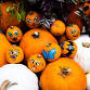 Pumpkin painting & Composting Workshop — Kindhearts event image
