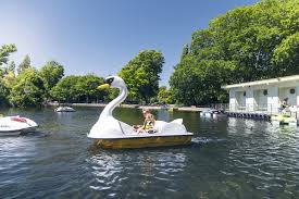 Also, instead of two large paddle wheels, pedal boats usually have just one smaller wheel located underneath the hull, which keeps the pedalers and passengers from being splashed. Pedal Boats At Queen Elizabeth Park Tourism Information From Destination Wairarapa