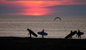 Image result for Surfing
