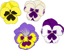 Pansy Selection By Cookieater Selection Of Four Pansies On Openclipart Pansies Art Flower Drawing Flower Line Drawings