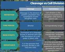 We did not find results for: Difference Between Cleavage And Cell Division Compare The Difference Between Similar Terms