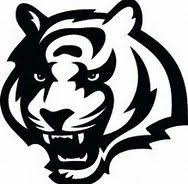 These are the golden bengals. 32 Sports Go Sports Ideas Bengals Cincinnati Bengals Cincinnati