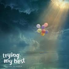 Trying My Best Seabra Music Album Cover Music Album Covers