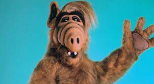 Sep 22, 2021 · former south auckland cop and current auckland councillor for the manukau ward alf filipaina says anyone in the gang fraternity who has covid and needs help can give him a call. In The American Tv Show Alf What Trivia Answers Quizzclub