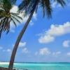 Locate lakshadweep hotels on a map based on popularity, price, or availability, and see tripadvisor reviews, photos, and deals. Https Encrypted Tbn0 Gstatic Com Images Q Tbn And9gcrbeqrm5njh6iwm4judy7v9eojbdsexdaldr8olnufc8mt3f1kx Usqp Cau
