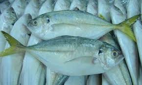معلومات عن سمك الميرا وطريقة طبخه مقلي وفي الفرن Fish Food