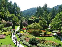 Our services are offered at highly competitive prices. Botanic Gardens In Canada Botanical Art Artists