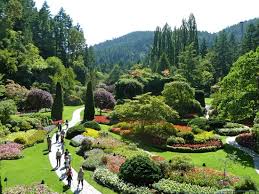 Construction will be going on in the shorts ground cover garden and the yao garden throughout the month of may 2021. Botanic Gardens In Canada Botanical Art Artists