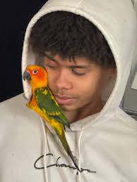 Jerry Hohler Obituary