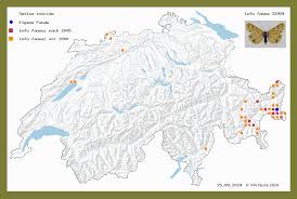 Image result for Setina roscida