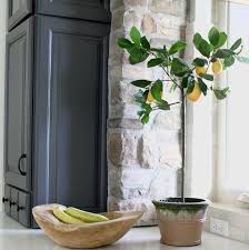 Good luck on choosing one for your master. My Favorite Dark Gray Paint For Kitchen Cabinets The House Of Silver Lining